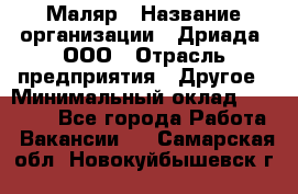 Маляр › Название организации ­ Дриада, ООО › Отрасль предприятия ­ Другое › Минимальный оклад ­ 18 000 - Все города Работа » Вакансии   . Самарская обл.,Новокуйбышевск г.